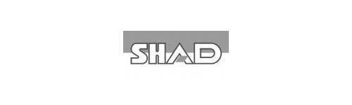 Shad Helmen